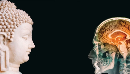 Những cái nhìn khác nhau về Phật giáo